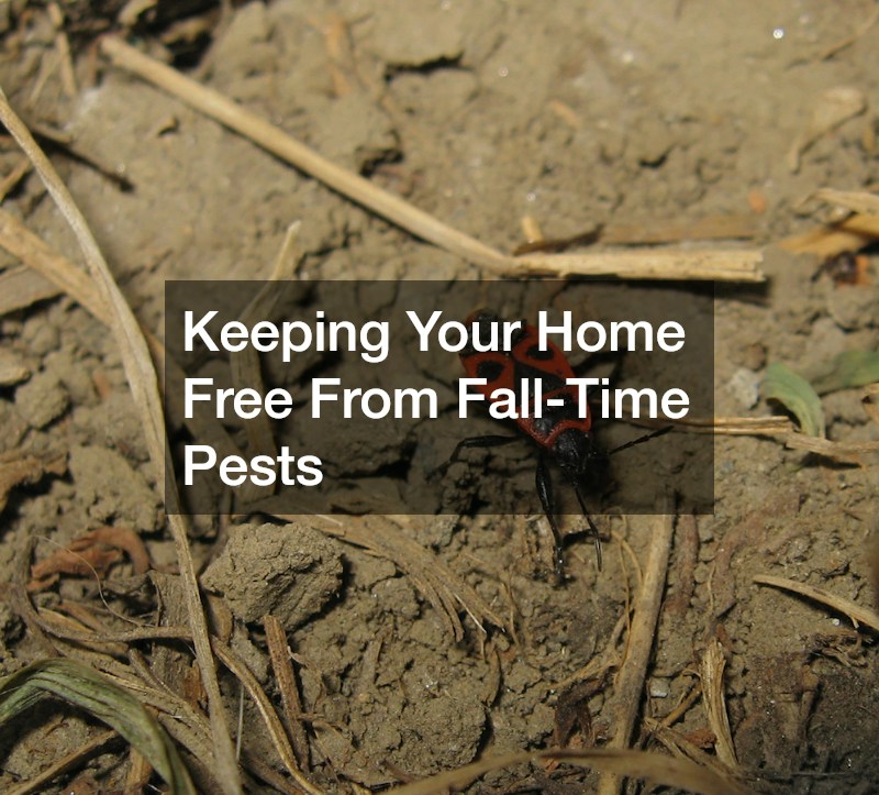 Keeping Your Home Free From Fall-Time Pests